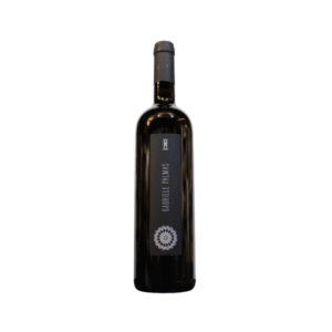 Syrah - 2020 - Gabriele Palmas