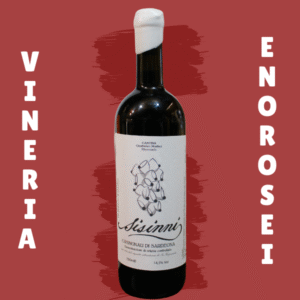 Sisinni - Cannonau di Mammoiada - Cantina Montisci 2024