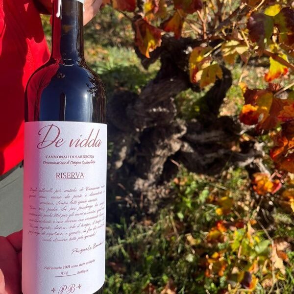 De Vidda Cannonau Riserva 2023 /2022