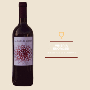 LA CASA DI SOPHIA - CARIGNANO