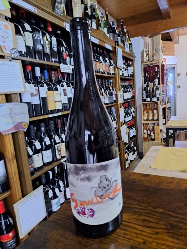 Survivor vino rosato Panevino