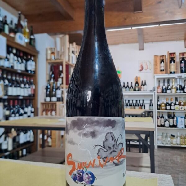 Survivor  Vino Rosso Panevino 2023