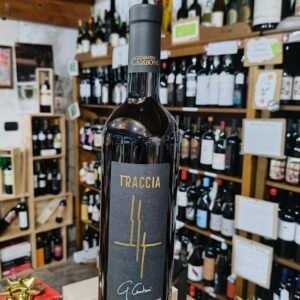 TRACCIA IGT CAGNULARI 2024